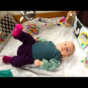 Loveevery play gym in gently used condition